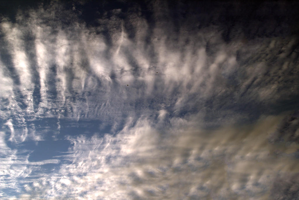 Stock|Sky and Clouds|Cloudy texture III