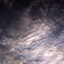 Stock|Sky and Clouds|Cloudy texture V