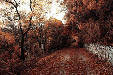 Red Autumn