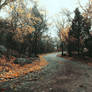 My autumn road