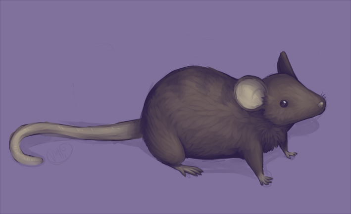 painted mouse