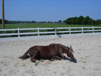 shanty, lying in the sand