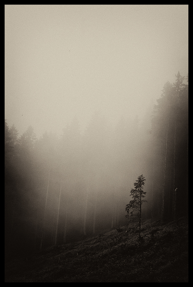 Foggy Tatra Mountains