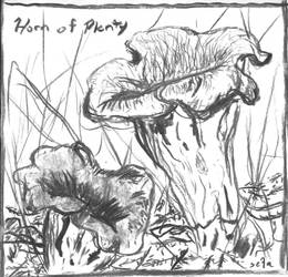 Horn of Plenty