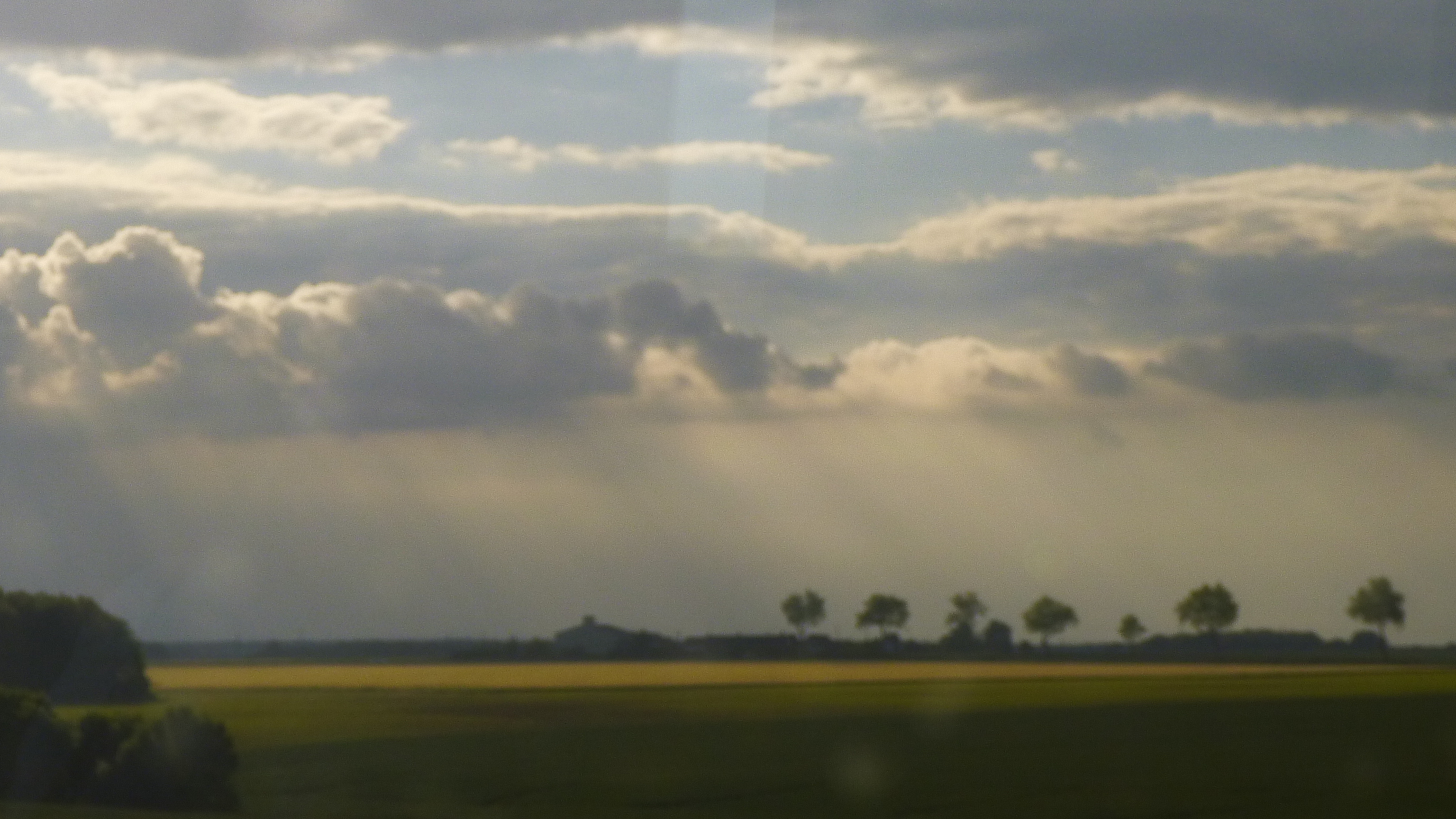 le ciel donne sa force aux arbres