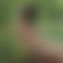 IMG 3300 web jh 2