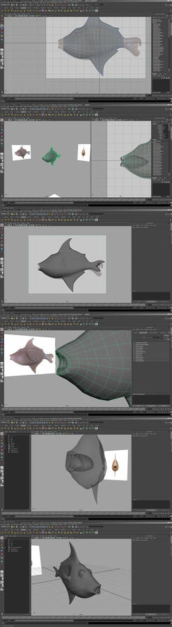 Fish WIP_1