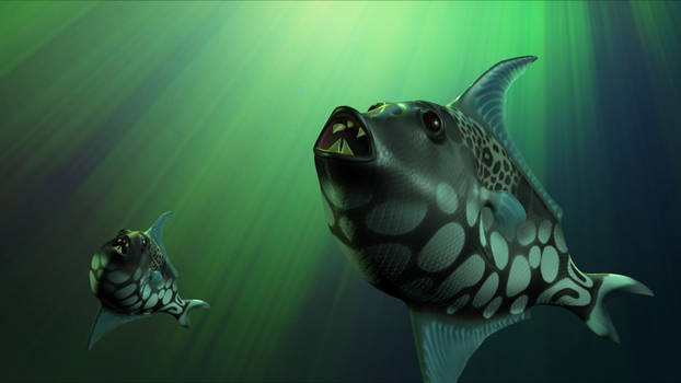 3D Fish