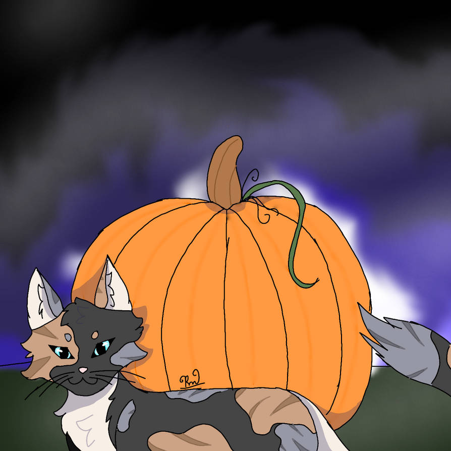 Cartoon Cat R64 PumpkinCat by Ryzdragonwolf on DeviantArt