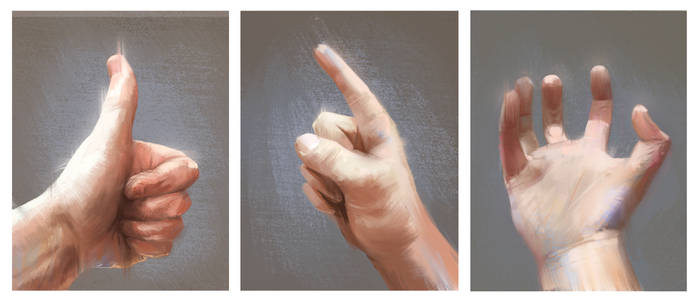 Hands Studies