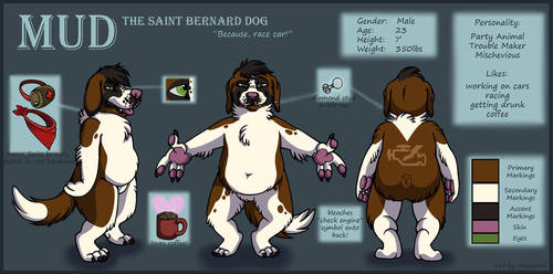 Mud the Saint Bernard