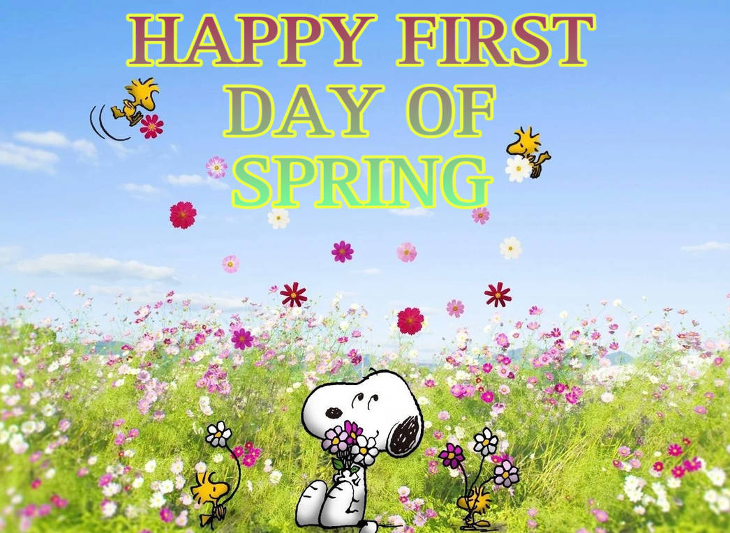 Happy First Day Of Spring Everyone by EvanFerguson on DeviantArt