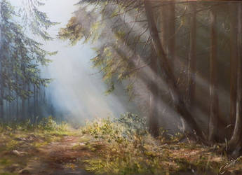 Morning forest by PiskunovSergey