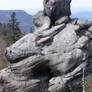 Dragon at the top of the world