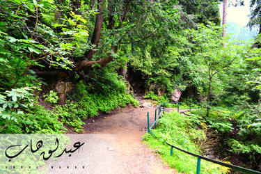 Dunga Gali Pakistan