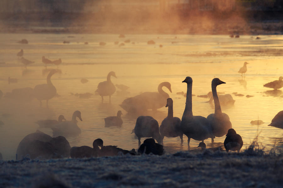 A visit to the lake