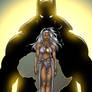 Black Panther and Storm