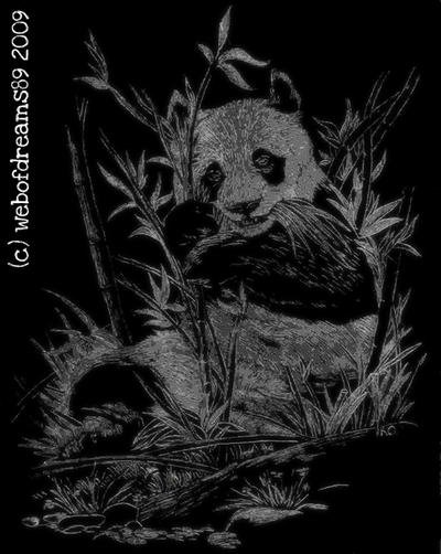 Panda scratch art. by webofdreams89 on DeviantArt