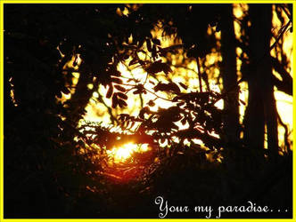 Your My Paradise.