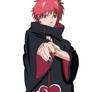 Sasori 1