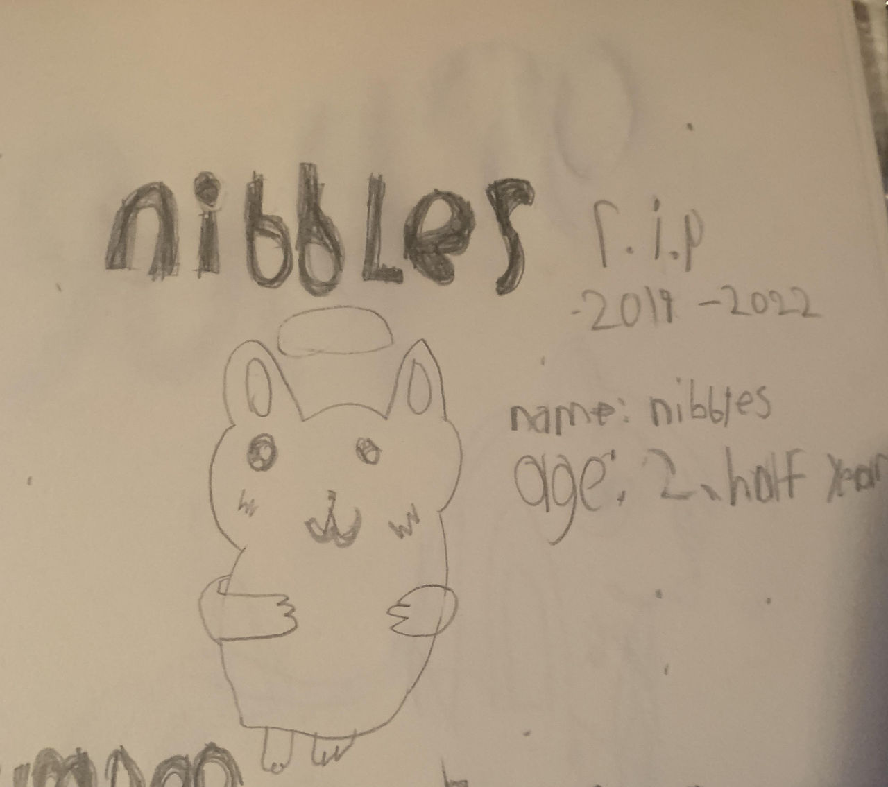 Nobble Drawing Nibbles Drawing by xXobliviano-AlphaXx on DeviantArt