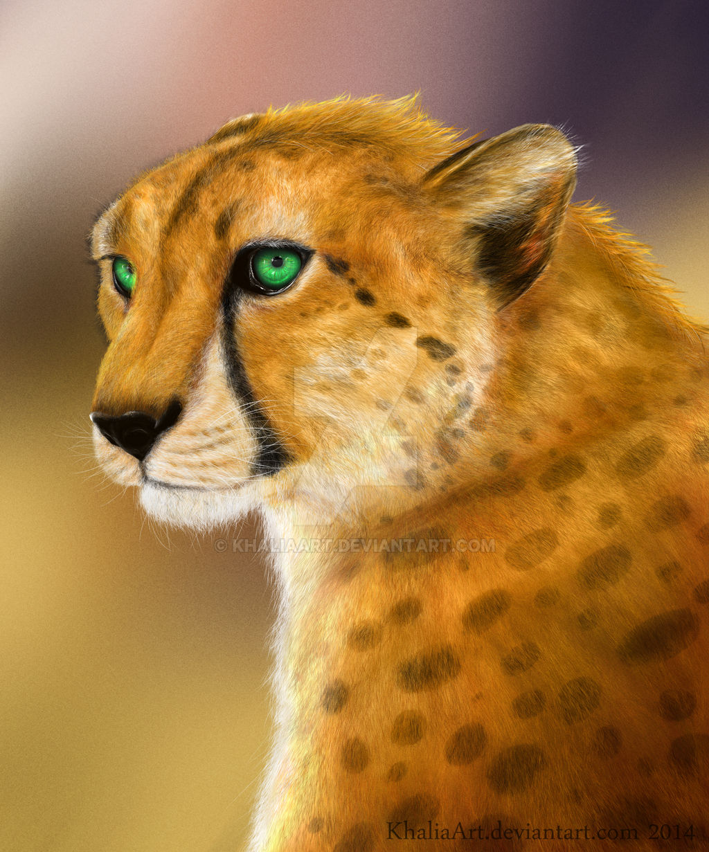 Cheetah Commission - Kweli