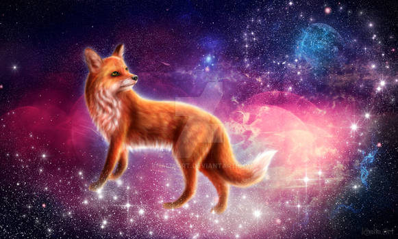 Universe Fox King
