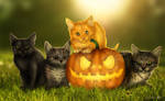 Halloween Kittens by KhaliaArt