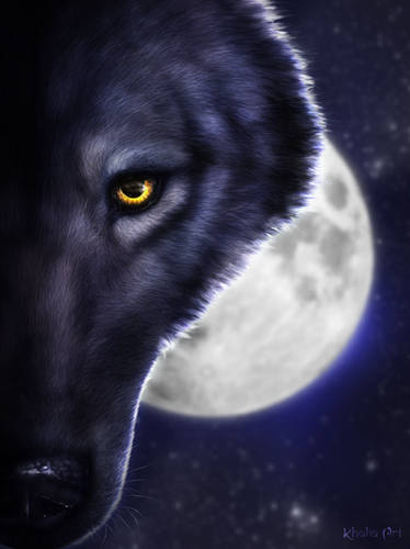 On The Hunt (Dark Wolf)