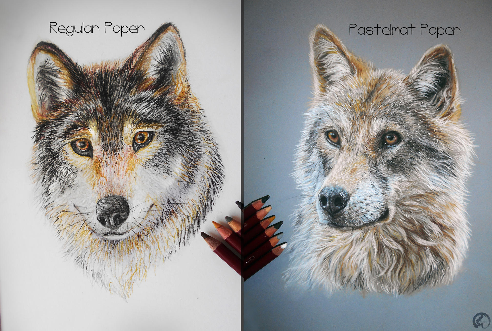 Wolf Portrait - Regular paper X Pastelmat by KhaliaArt on DeviantArt
