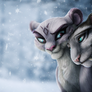 Shira and Chuluun