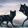 Closed/ Auction: Canis Lumen #108