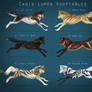 Closed/ Canis Lumen Adoptables