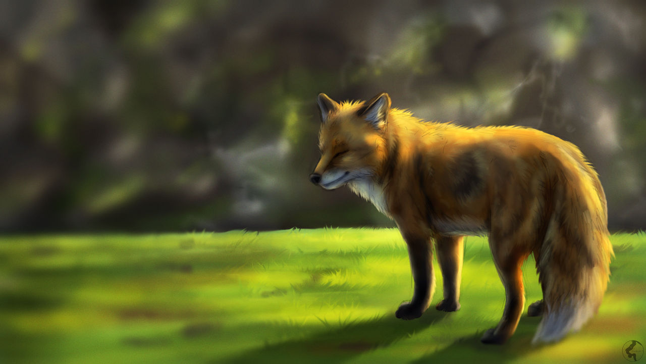 Fox Speedpaint by KhaliaArt on DeviantArt