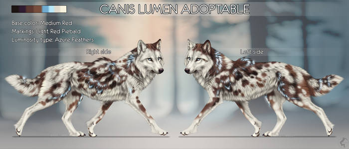 Closed/ Adopt: Canis Lumen