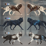 OPEN 1/3: Canis Lumen Adoptables