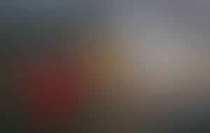 WIP: Burn