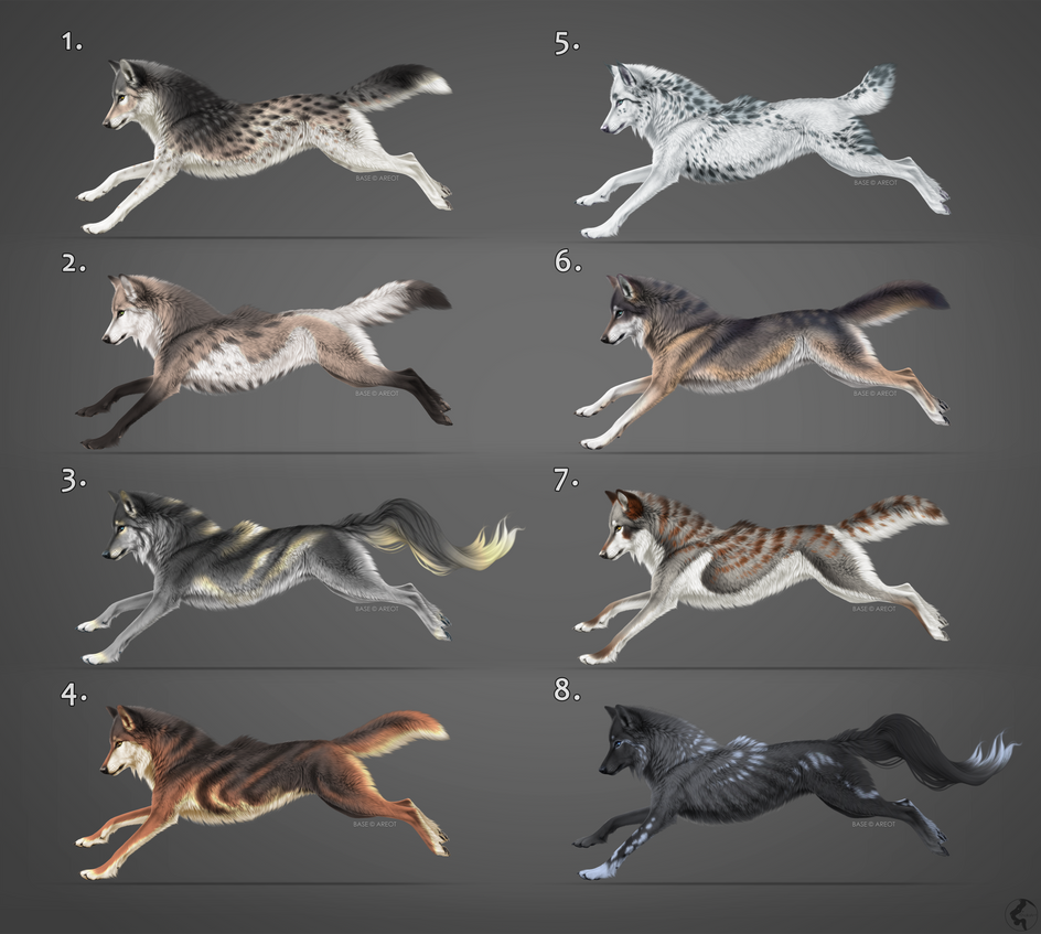 OPEN 3/8: Wolf Adopts by KhaliaArt on DeviantArt