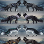 Closed/ Verox Adoptables