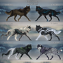 OPEN: Canis Lumen Adoptables 1/6