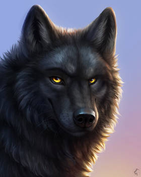 Wolf Portrait