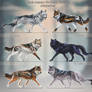 Closed/ Canis Lumen Adoptables