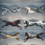 OPEN: Canis Lumen Adoptables 2/6