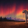 OPEN YCH: Glow of Solitude
