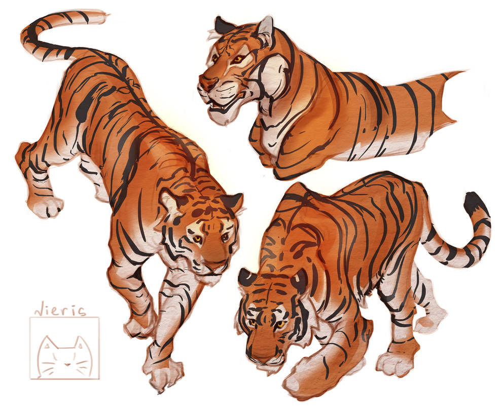 Tiger(concept) by LatteaChatte on DeviantArt