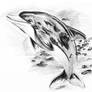 White beaked dolphin12