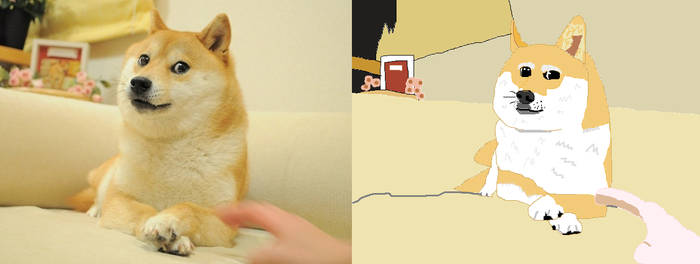 Me vs. Doge