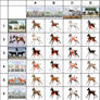 Lineage Foal Adopts - 10/24 OPEN