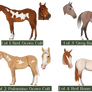 Thoroughbred Yearling Lineage Adopts - 1/4 Open