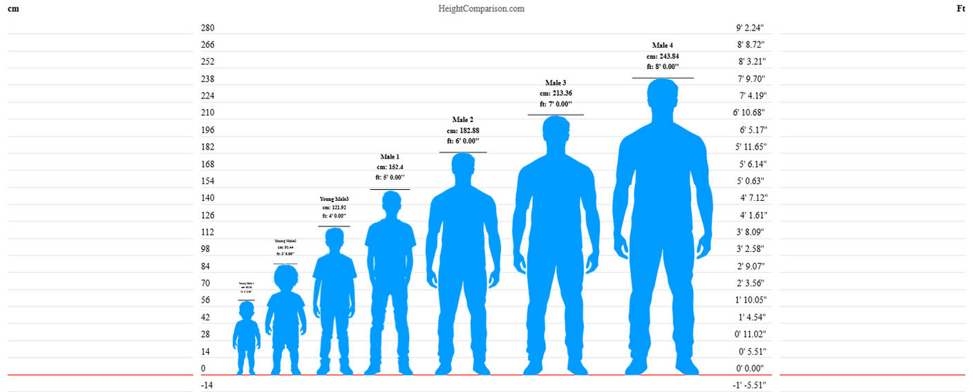 8 Height Example 2ft To 8ft Height Chart by TheSickSteven on DeviantArt